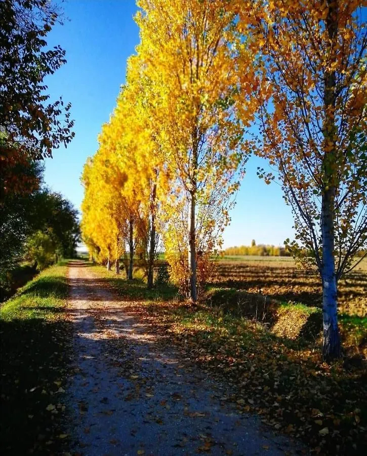 Agriturismo Colombera Quarto dʼAltino Italia
