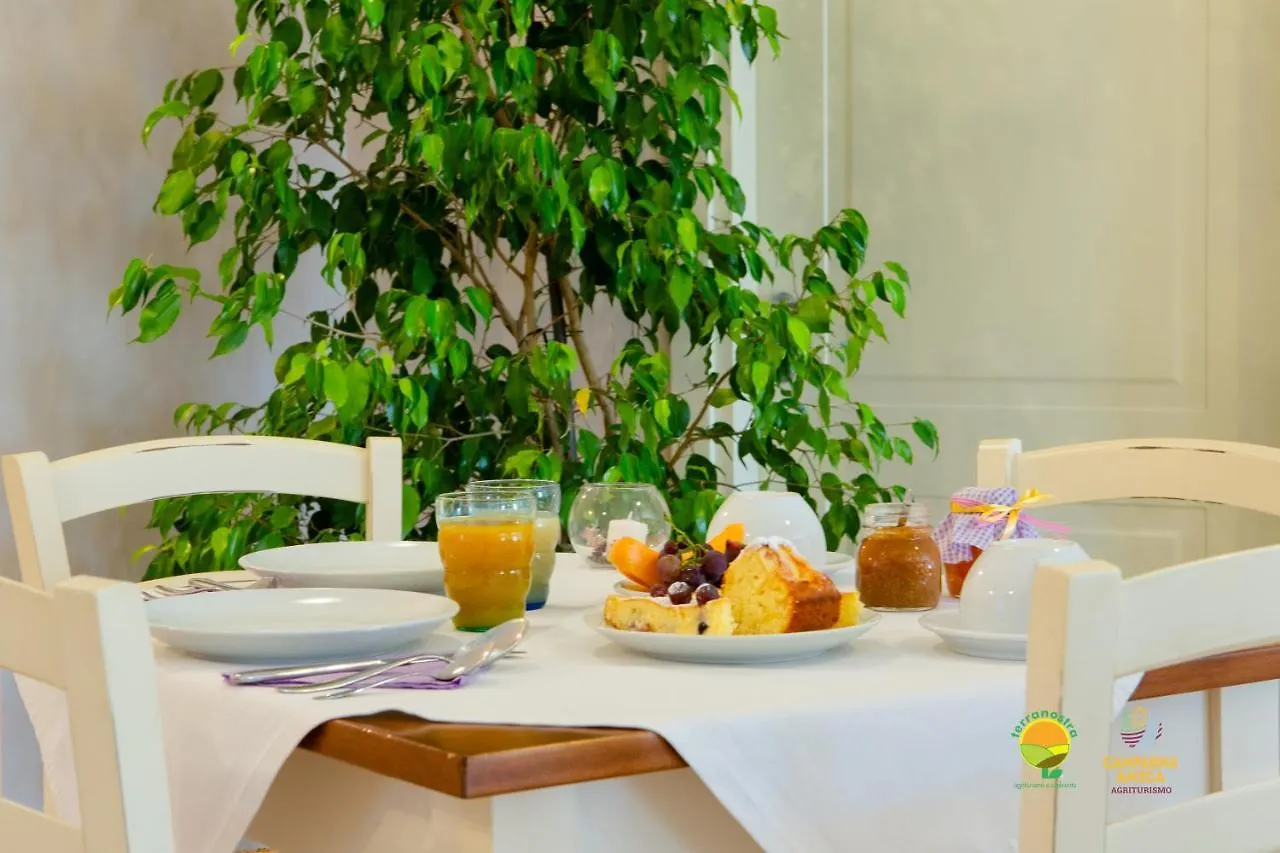 Agriturismo Colombera Quarto dʼAltino